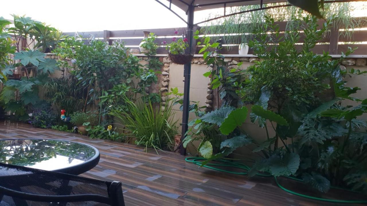 Amazing Apartment Haifa Ngoại thất bức ảnh